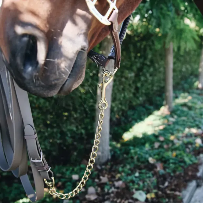 Hovedbilde Kentucky Stallion Chain 60cm