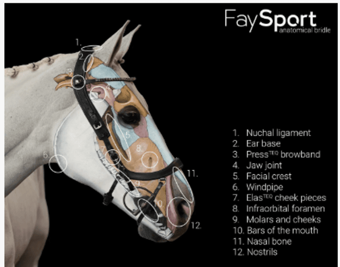 Hovedbilde PresTeq FaySport hodelag