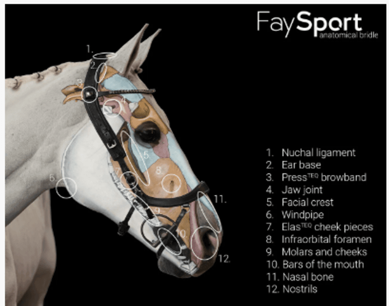 PresTeq FaySport hodelag