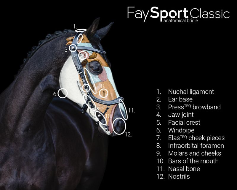 PresTeq FaySport Classic hodelag
