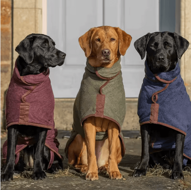 Hovedbilde Tørkedekken for hund