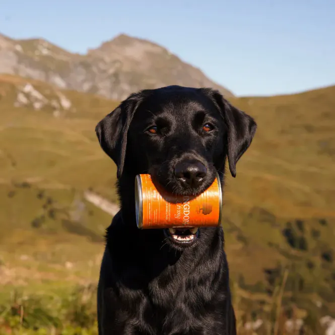 Hovedbilde Essential Kingdom Pâtè 400g