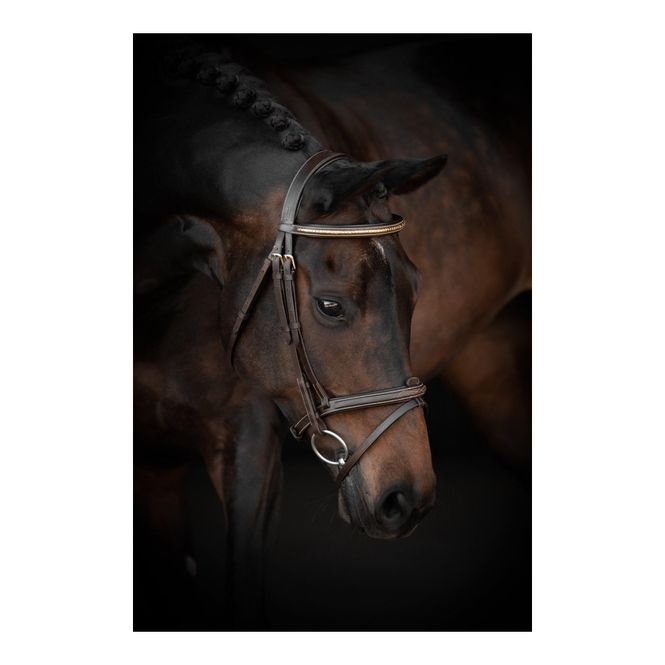 Hovedbilde Lippo Preston Fancy hodelag