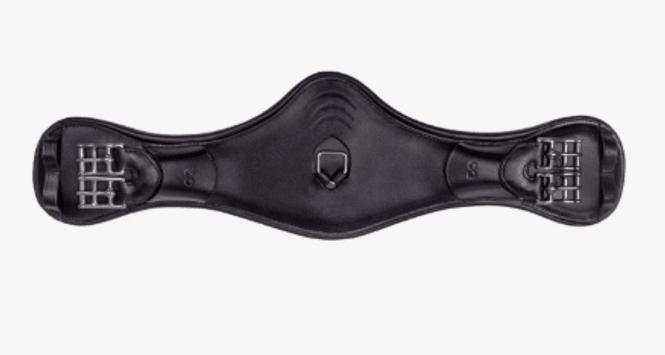 Hovedbilde PresTeq PerformeFree dressur gjord