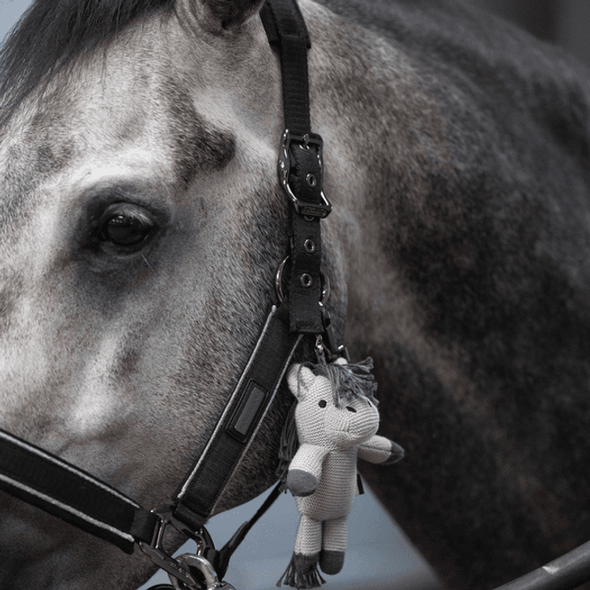 Hovedbilde Kingsland Monty knitted horse Teddy